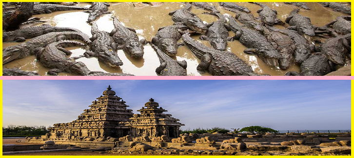 Chennai Outside City Tours