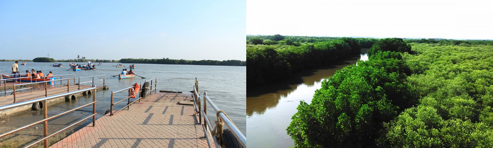 Chennai to Pichavaram Tour Package Chennai to Pichavaram Tour Package
