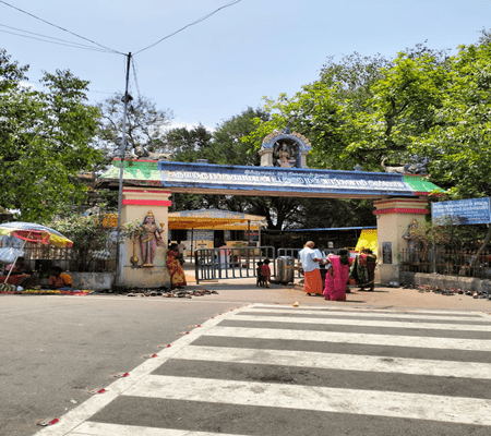 Chenani to Palapandal Car Rental